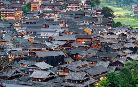 市中乡村别墅的靠谱依赖